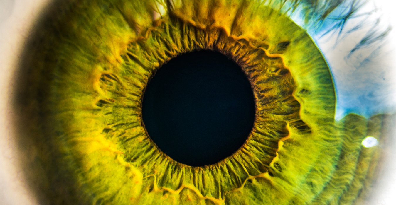 Can Visual Design Change Our Brain Chemistry