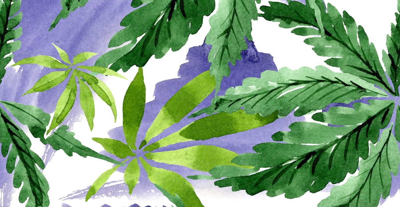 Graphic Design Cannabis Business Advertising Regulations
