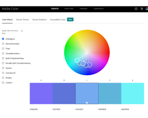 Use Adobe Color Wheel to showcase complementary colors for the brand style guide, a tool used by a design agency in Philadelphia